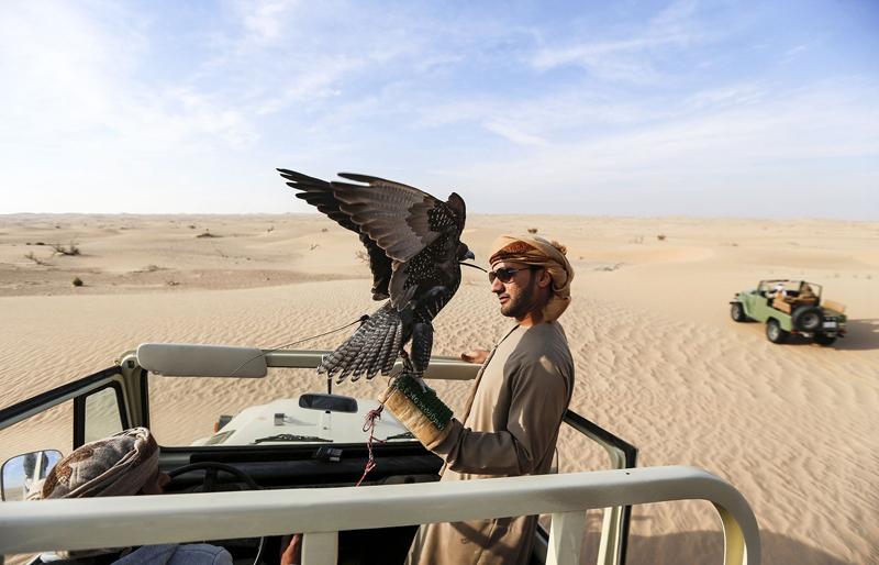 تفریح لوکس در صحرای امارات (تصاویر)