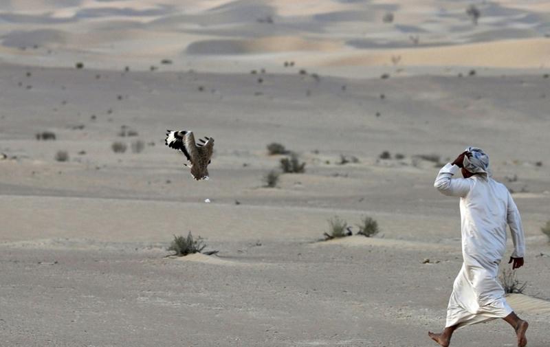 تفریح لوکس در صحرای امارات (تصاویر)