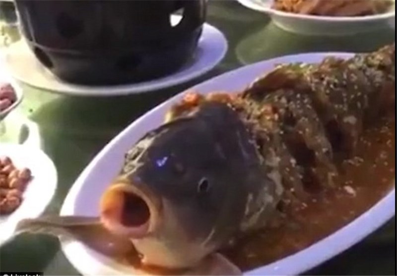 زنده‌شدن ماهی در ظرف غذای یک چینی (تصویر)