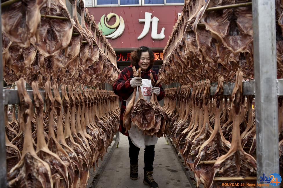 کارخانه های مواد غذایی در چین