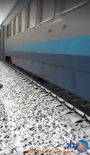 نجات سگی روی ریل قطار با مراقبت دو روزه جفتش (فیلم و تصاویر)