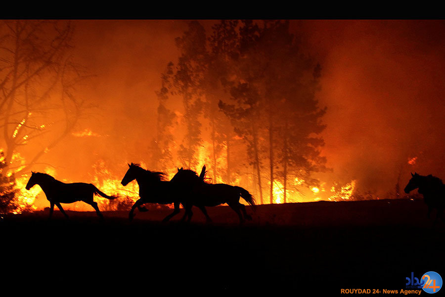 از مراسم سوگواری آتش‌نشان‌های پلاسکو تا آتش‌سوزی در شیلی