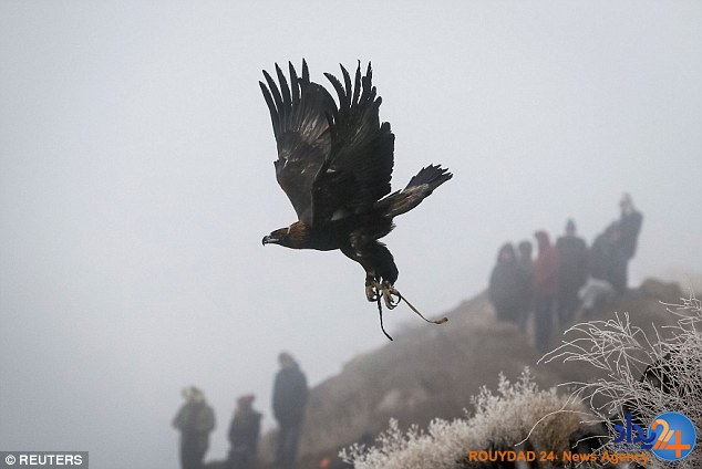 مسابقه شکار با عقاب در قزاقستان (تصاویر)