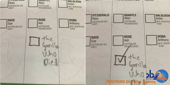 مردم استرالیا به کباب و فلافل رای دادند (تصاویر)
