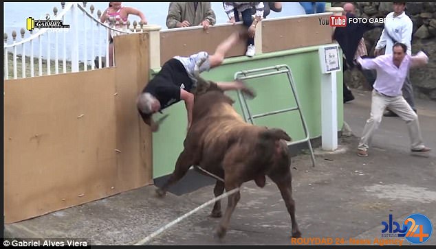حمله گاو وحشی به پیرمرد تماشاچی (فیلم و تصاویر)