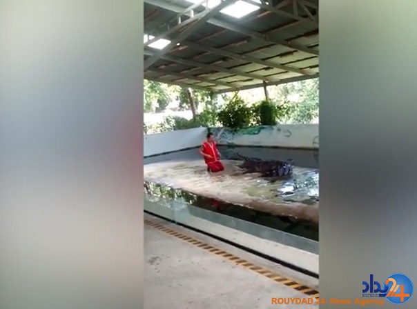 لحظه وحشتناک گیر افتاد سر مربی در دهان تمساح (فیلم و تصاویر)