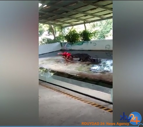 لحظه وحشتناک گیر افتاد سر مربی در دهان تمساح (فیلم و تصاویر)
