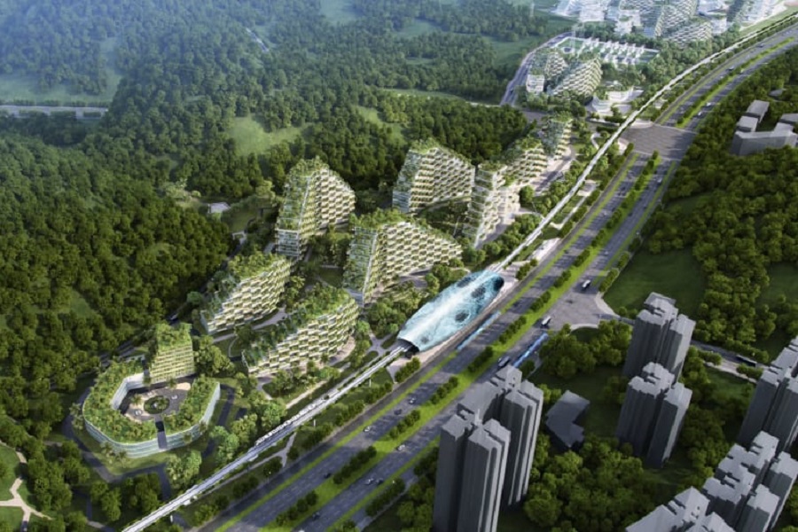 'جنگل شهر' ایده چینی ها برای بهبود فضای سبز