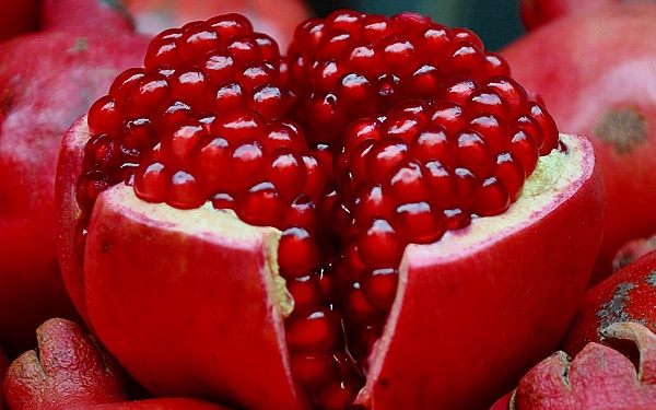 ۵ میوه قرآنی برای درمان تمام بیماری‌ها