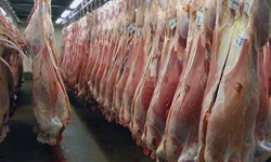 واردات گوشت هم تاثیری بربازار نگذاشت/ گوشت در مرز کیلویی ۶۰ هزار تومان
