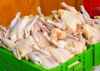 مرغ را گران‌تر از ۱۰۲۰۰تومان نخرید/ اختلاف قیمت فاحش مرغ از مرغداری تا خرده‌فروشی