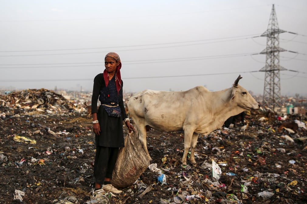 جمع‌آوری زباله‌های قابل بازیافت از یک زباله‌دانی در شهر دهلی هند