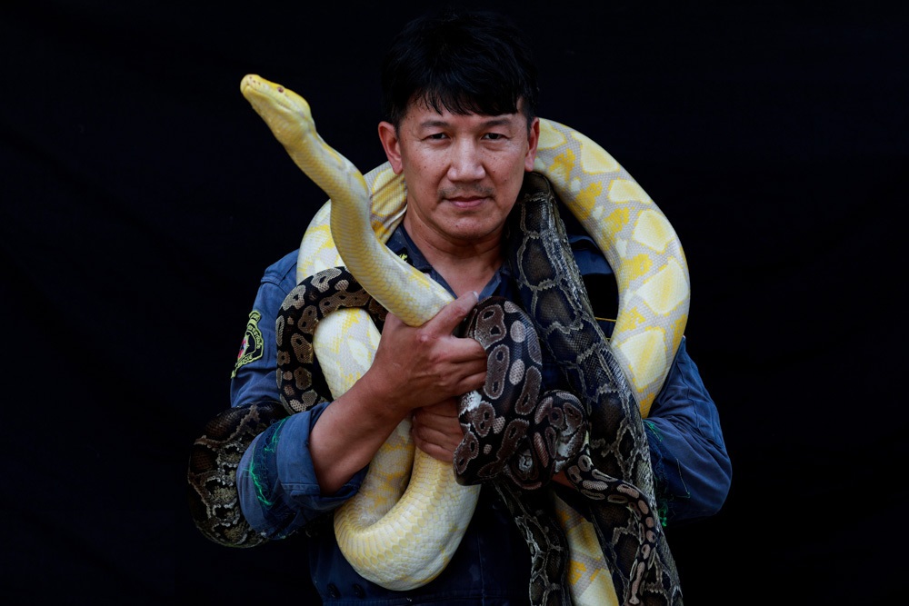 مرد تایلندی با مارهای زهرآلود