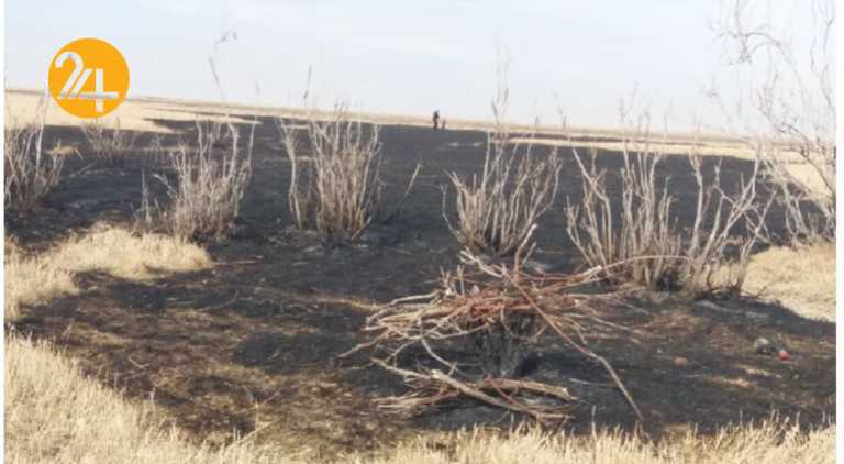 آتش در منطقه حفاظت شده باشگل تاکستان