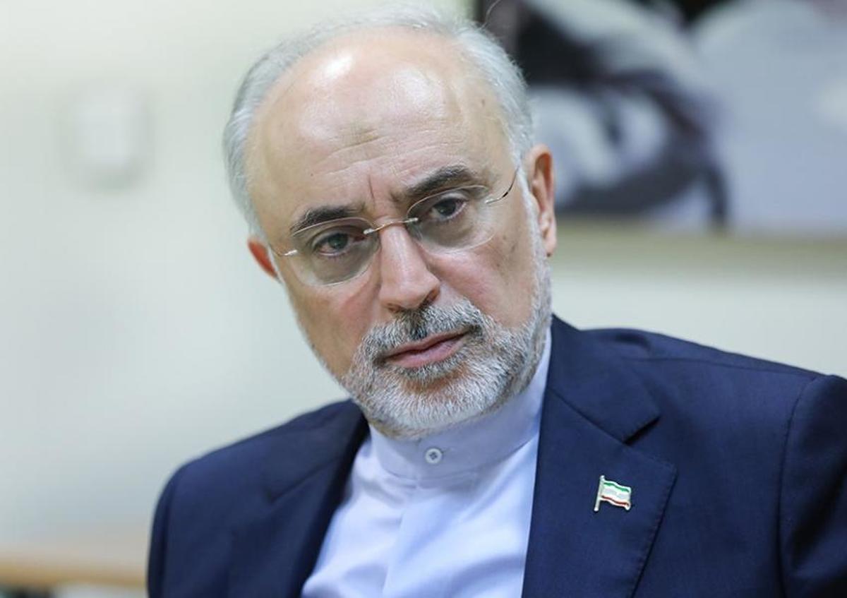صالحی: ایران توانایی ساخت بمب اتم را دارد
