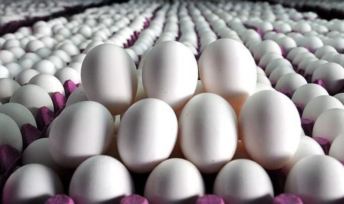 قیمت تخم مرغ در بازار چقدر شد؟