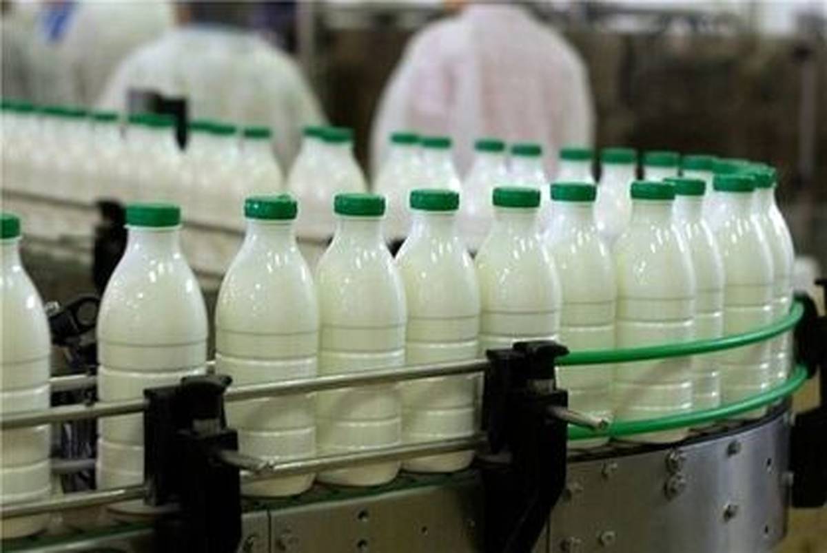افزایش ۲۵درصدی قیمت شیر خام/ لبنیات چقدر گران می‌شود؟