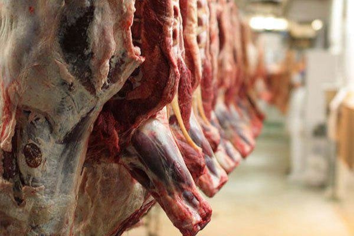 گوشت گران می‌شود؟