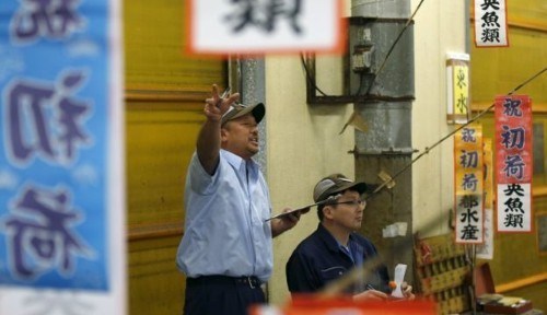 فروش یک ماهی به قیمت 350000000 تومان (تصاویر)