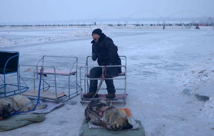 جشنوارهای در دمای منفی 30 درجه (تصاویر) جشنوارهای در دمای منفی 30 درجه (تصاویر)