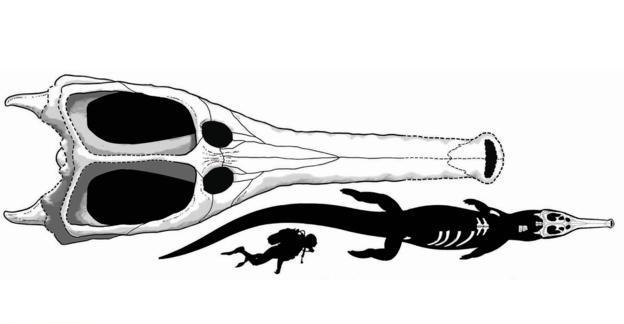کشف کروکودیل به اندازۀ اتوبوس! (تصاویر)