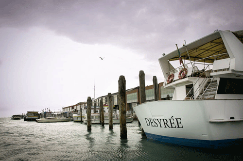 شهری که خودرو ندارد! (تصاویر)