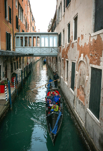 شهری که خودرو ندارد! (تصاویر)