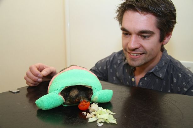 لاکپشتی که در خواب زمستانی پاهایش را از دست داد لاکپشتی که در خواب زمستانی پاهایش را از دست داد