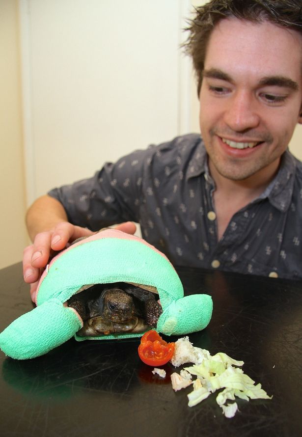 لاکپشتی که در خواب زمستانی پاهایش را از دست داد لاکپشتی که در خواب زمستانی پاهایش را از دست داد