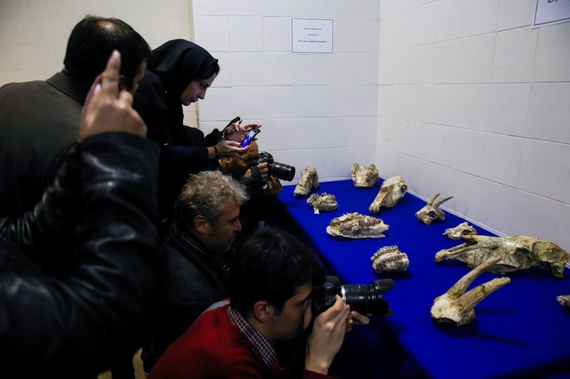 استرداد فسیل های ایرانی از آمریکا بعد از چهل سال