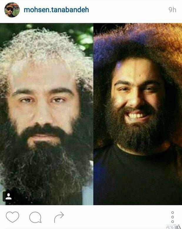 تنابنده: به شبکه تنابنده: به شبکه