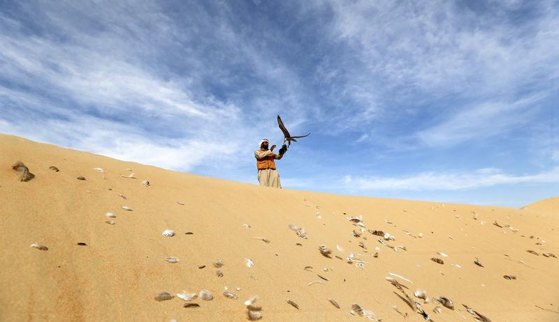 تفریح لوکس در صحرای امارات (تصاویر)