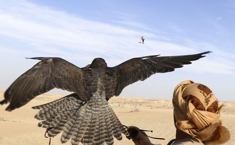 تفریح لوکس در صحرای امارات (تصاویر)