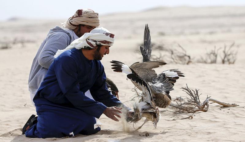 تفریح لوکس در صحرای امارات (تصاویر)