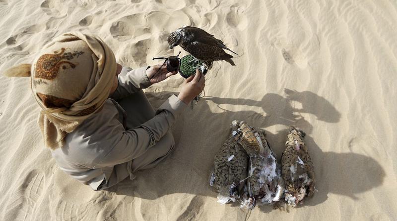 تفریح لوکس در صحرای امارات (تصاویر)