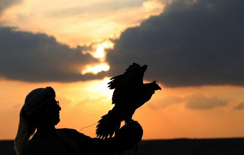 تفریح لوکس در صحرای امارات (تصاویر)