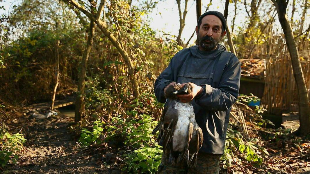 وقتی «آزادی» غرق در خون می‌شود