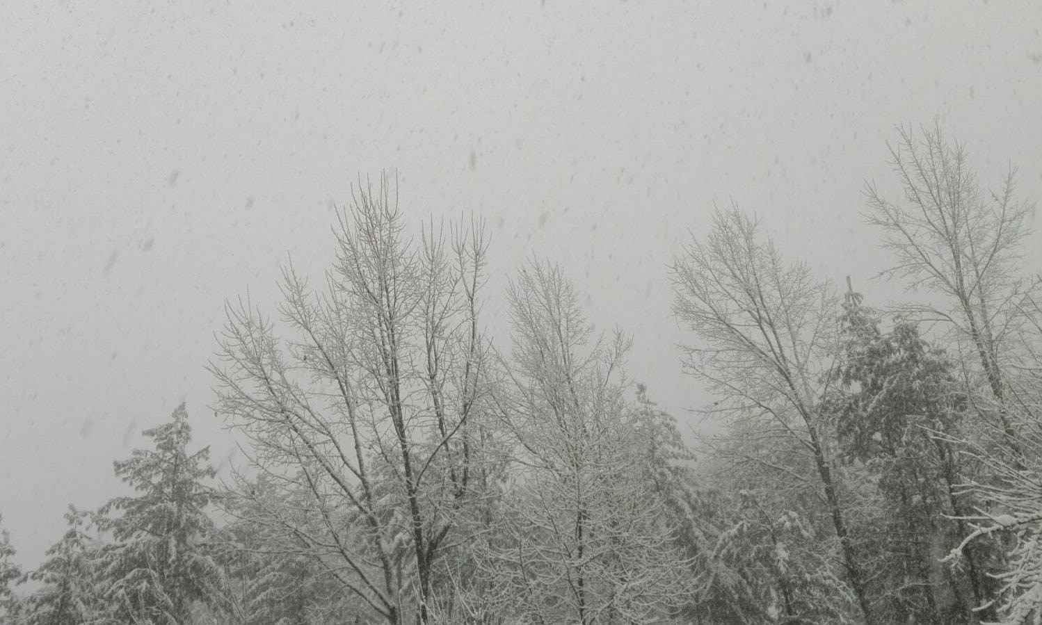 بارش برف پس از ۱۰ سال در پایتخت پاکستان (تصاویر) بارش برف پس از ۱۰ سال در پایتخت پاکستان (تصاویر)