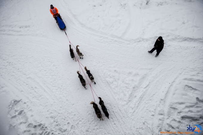 مسابقه سگ های سورتمه ران در روسیه