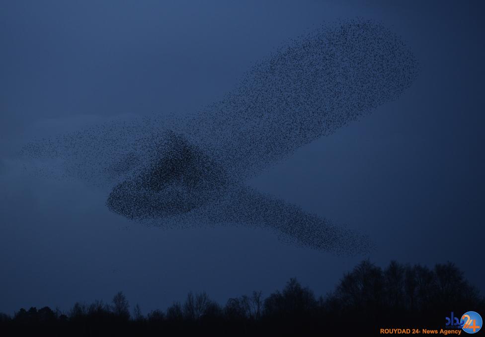 نقاشی سارها در آسمان