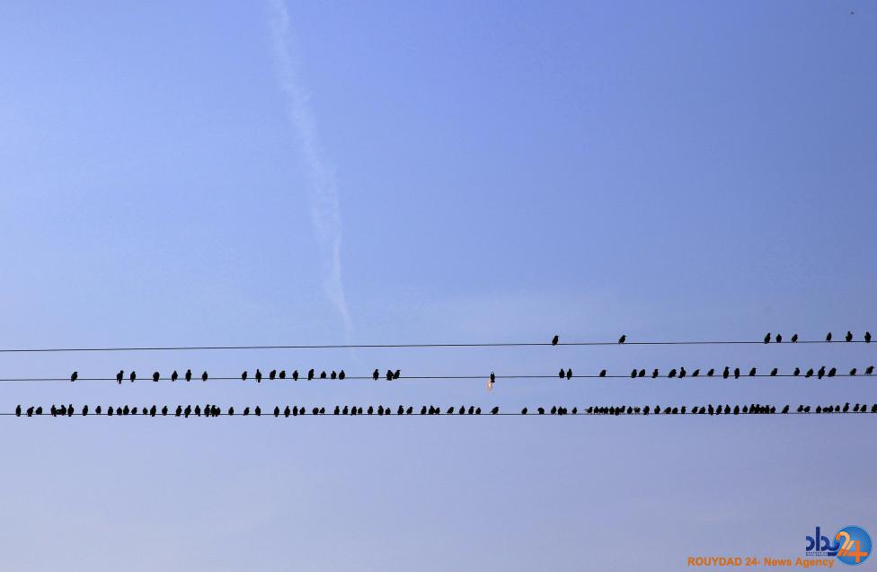 نقاشی سارها در آسمان