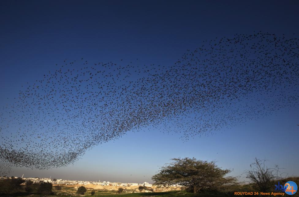 نقاشی سارها در آسمان