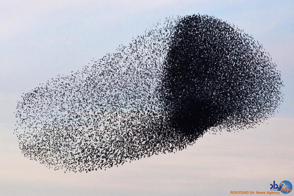 نقاشی سارها در آسمان