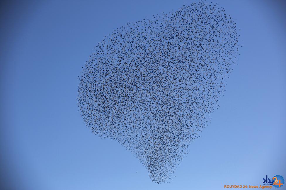 نقاشی سارها در آسمان