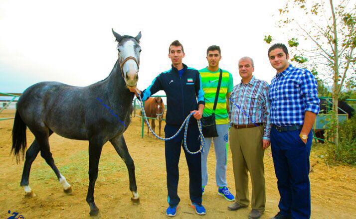 اسب فرهاد قائمی هم قهرمان شد (عکس) اسب فرهاد قائمی هم قهرمان شد (عکس)