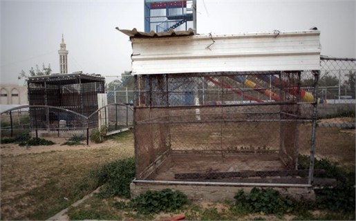 گرسنگی حیوانات باغ وحش غزه (عکس)