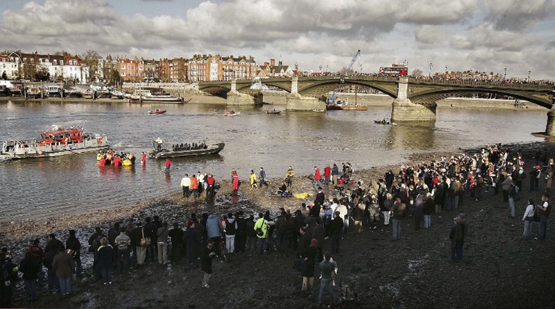 معمای لاشه 5 نهنگ غول پیکر (تصاویر)