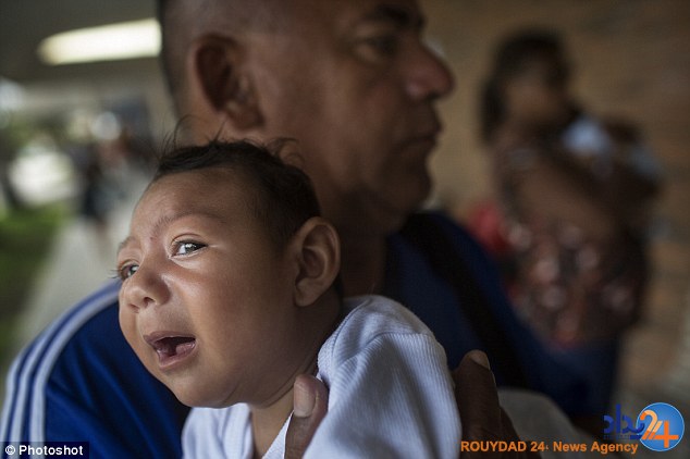 ابتلای مادران به زیکا چه بلایی سر فرزندان می آورد؟ (تصاویر) ابتلای مادران به زیکا چه بلایی سر فرزندان می آورد؟ (تصاویر)