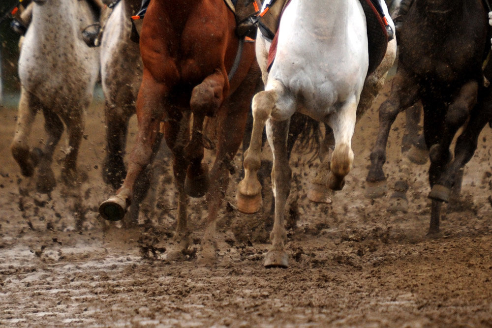 کورس سوارکاری قهرمانی زمستانه گنبدکاووس