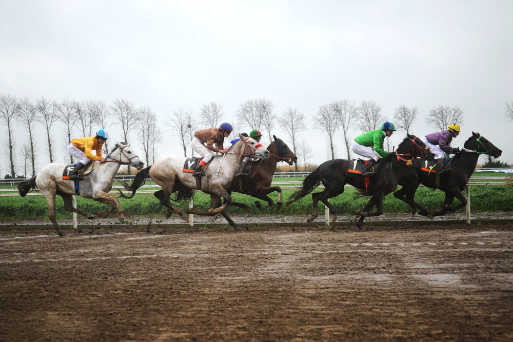 کورس سوارکاری قهرمانی زمستانه گنبدکاووس